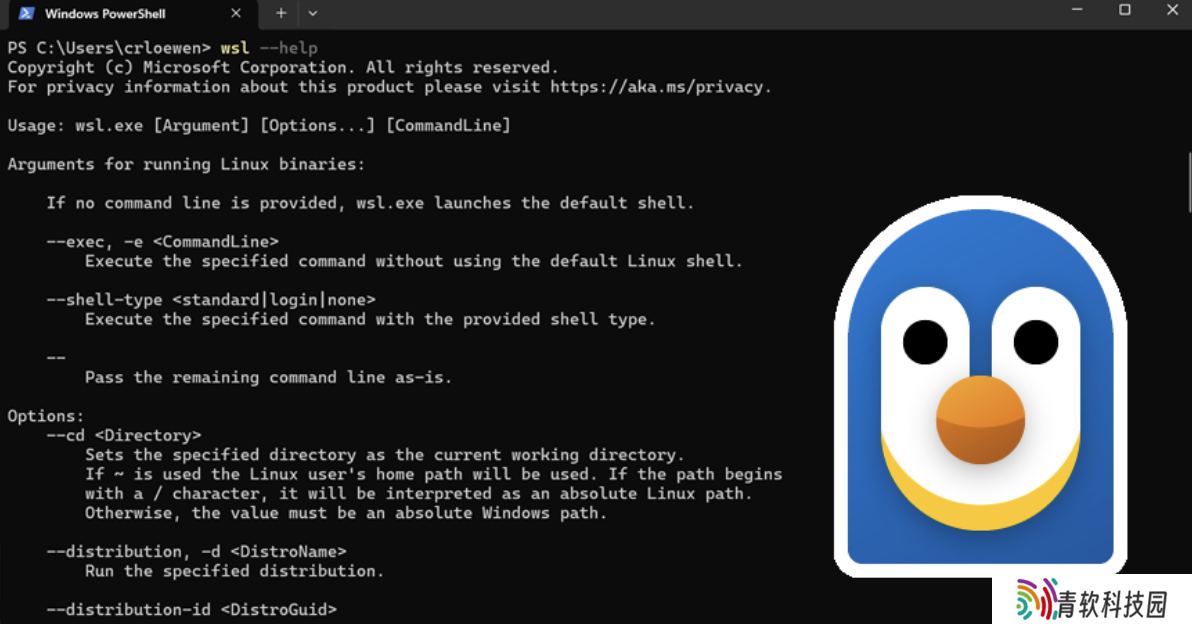 微软 Build 2025：WSL 项目正式开源