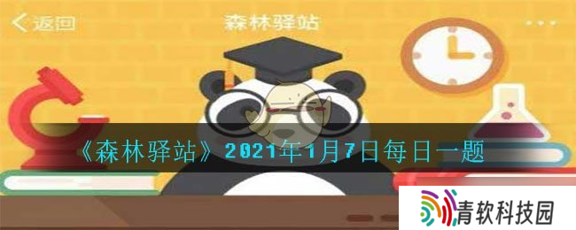 吸血蝙蝠一顿饭可摄取体重相当量食物