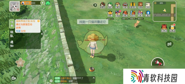 “小森猫咪养成攻略：任务完成指南”