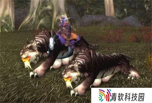魔兽世界黑海岸猎人稀有宠物在哪 黑海岸猎人稀有宠物具体位置