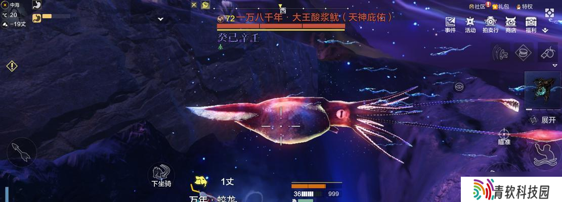 探寻神秘海底世界（水中奇遇！畅游海底）