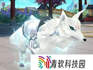 探寻神秘海底世界 水中奇遇 畅游海底