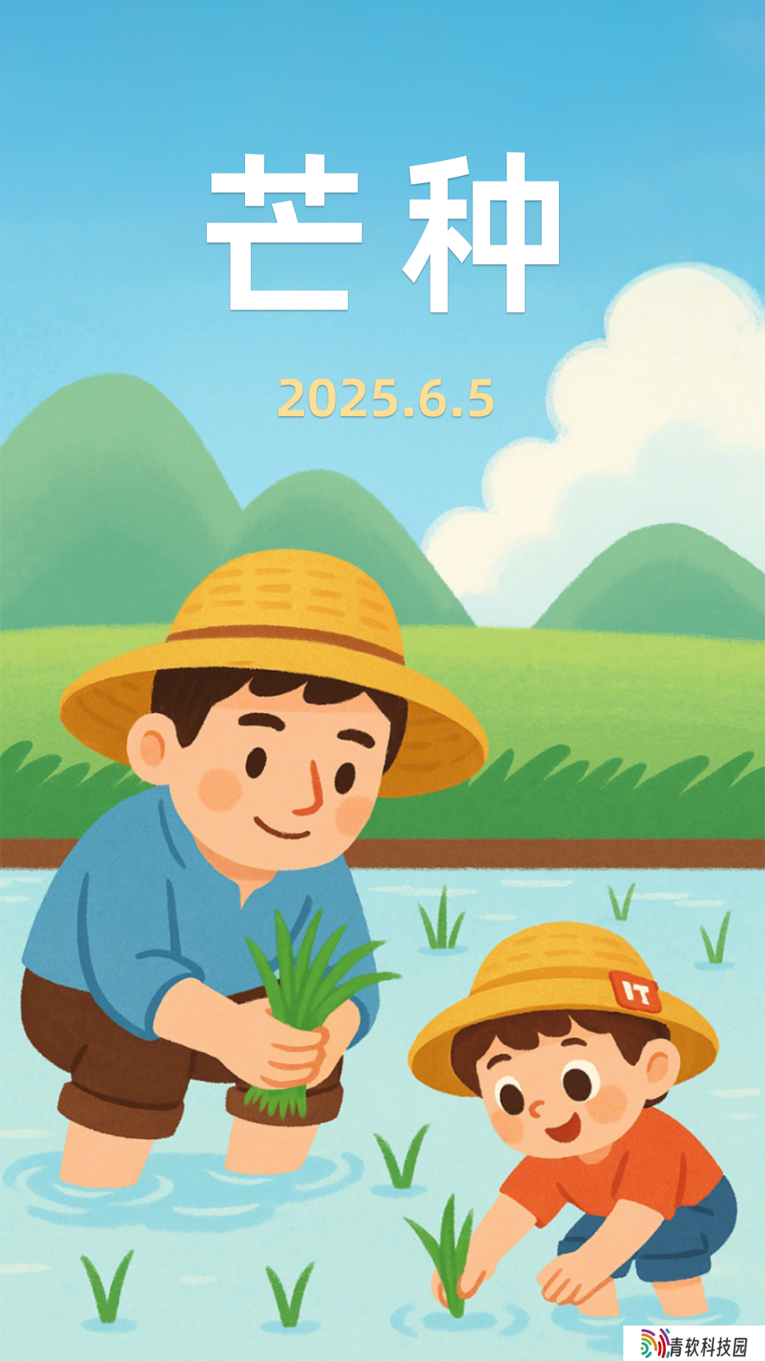 今日芒种：仲夏开始，收获可期