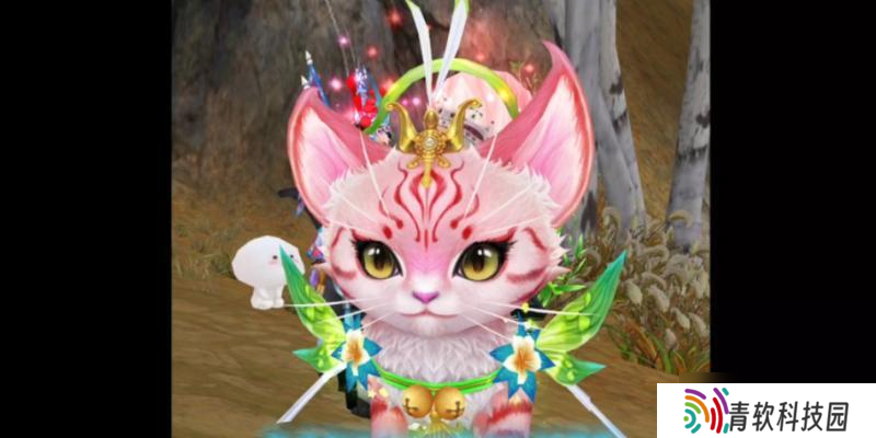 寻仙粉猫儿的获取方法是什么？粉猫儿对角色有何帮助？