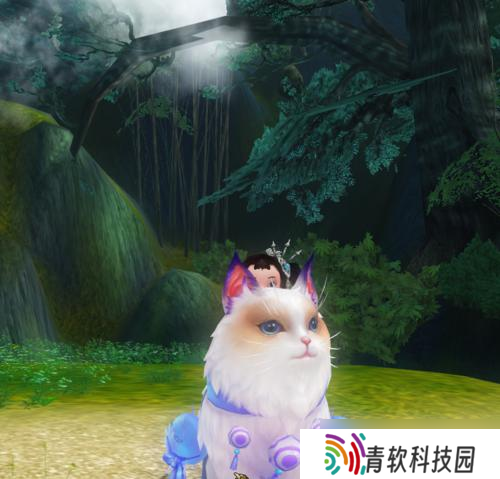 寻仙粉猫儿的获取方法是什么 粉猫儿对角色有何帮助