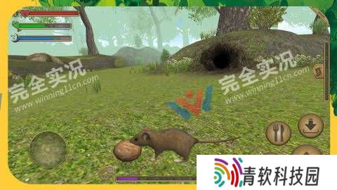 老鼠生存模拟手机版
