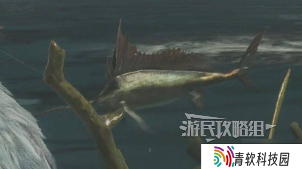 《怪物猎人荒野》大王旗鱼的鳍获取方法及作用 大王旗鱼的鳍怎么获得