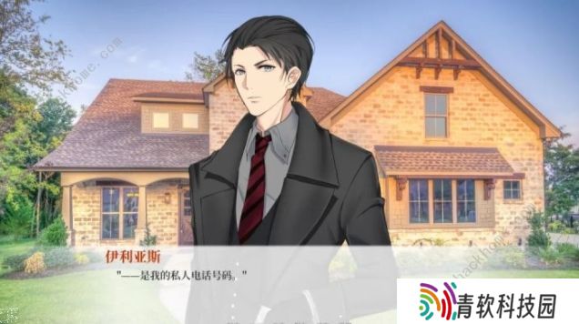 亿万恋人攻略大全：真假结局达成及成就大全图片1