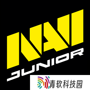 NAVI青训队排名飙升至VRS全球第21位