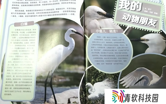 巅峰月销700万份的中国JUMP 还能打赢复活赛吗？