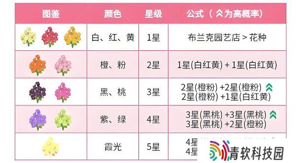 心动小镇迎春花杂交配方有哪些 迎春花杂交配方介绍一览