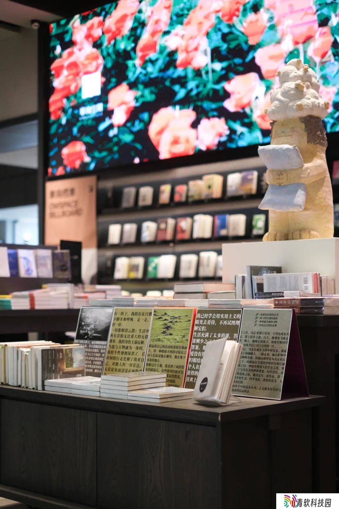 书店里的自然奇遇：与鼹鼠共读《如何捉鼹鼠》及其他自然经典