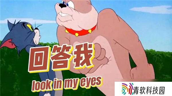 回答我lookinmyeyes梗讲解