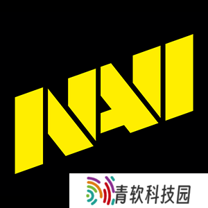 NAVI战队压力骤增：Major临近，阵容变动暗流涌动