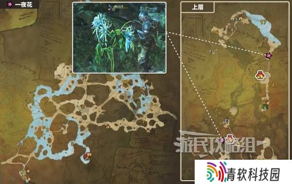 怪物猎人荒野一夜花的月华粉位置及获取途径一览图片4