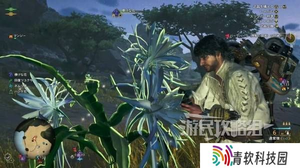 怪物猎人荒野一夜花的月华粉位置及获取途径一览