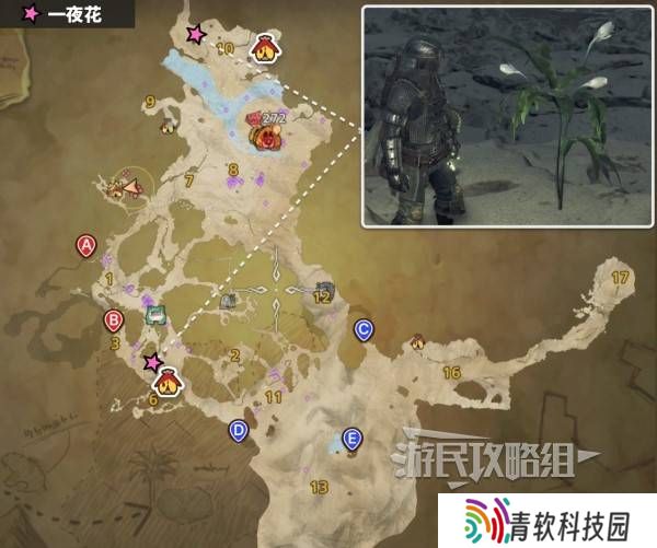 怪物猎人荒野一夜花的月华粉位置及获取途径一览图片3
