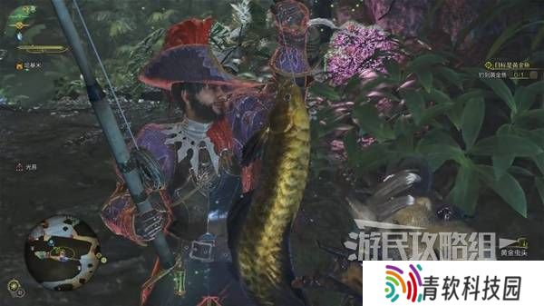 怪物猎人荒野黄金鱼怎么钓    钓黄金鱼位置一览图片6