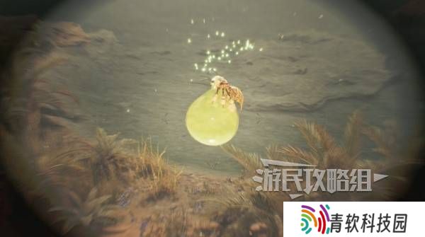 怪物猎人荒野大回复蜜虫位置在哪  大回复蜜虫捕获路线图片5