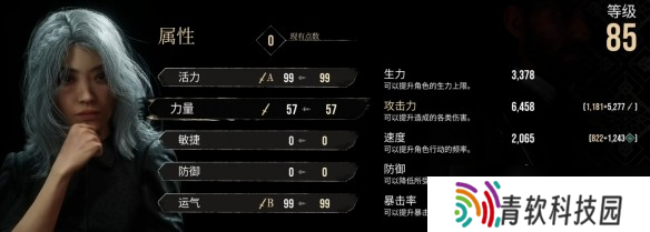 光与影33号远征队角色加点选择建议-33号远征队怎么加点
