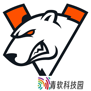 VP教练F_1N：核心问题是沟通，大家愿为胜利付出任何代价