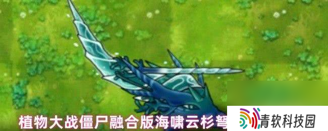 植物大战僵尸融合版海啸云杉弩炮咋样 秘籍代码大全